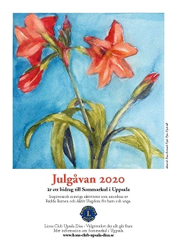 http://www.lions-club-upsala-disa.se/images/aktiviterer/julgavan2020.jpg