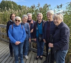 https://www.lions-club-upsala-disa.se/images/verksamhet/hammaskog%204.jpg